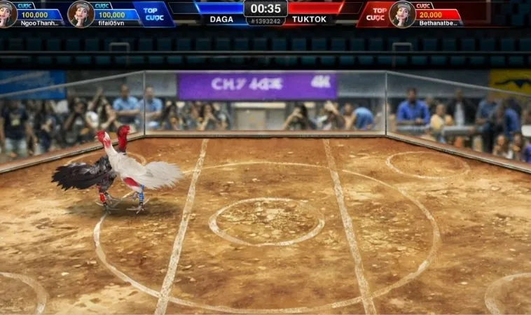 Đá Gà 3D Tại SM66