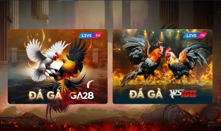 Sảnh Đá Gà SM66 thiết kế đẹp, chuyên nghiệp