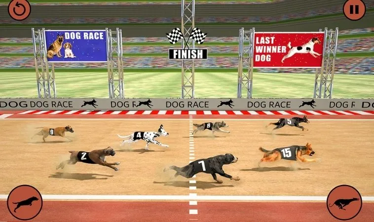 Cách chơi game nhanh Đua Chó SM66